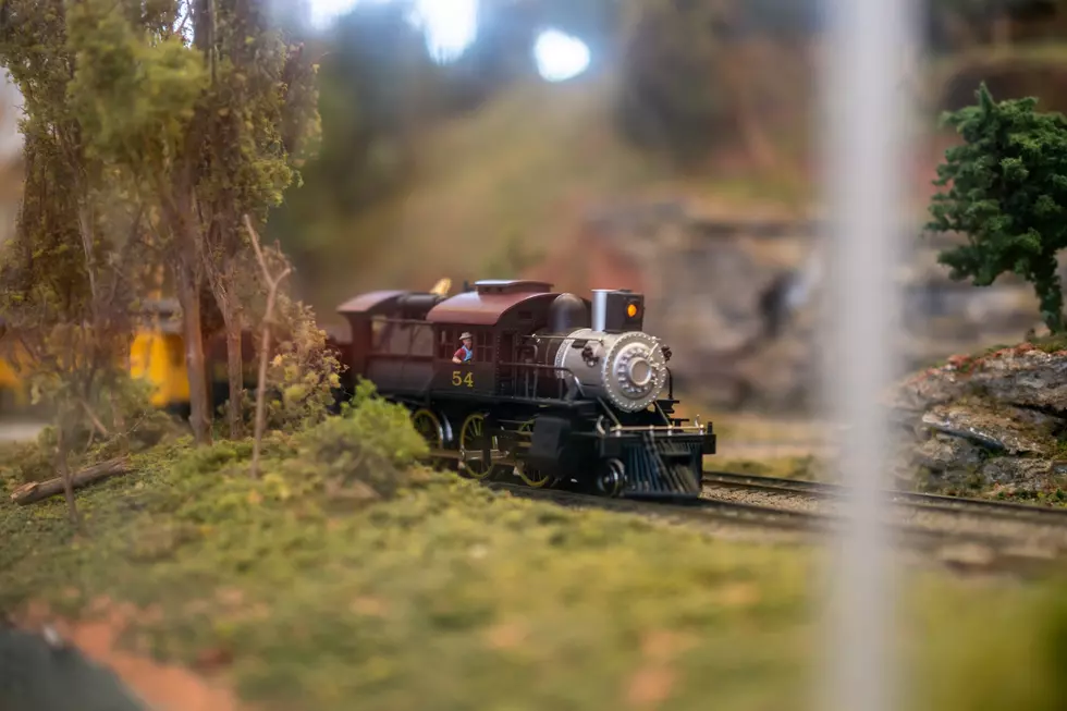 Celebrating its 45th Year, The Annual Train Show Comes to Brewer