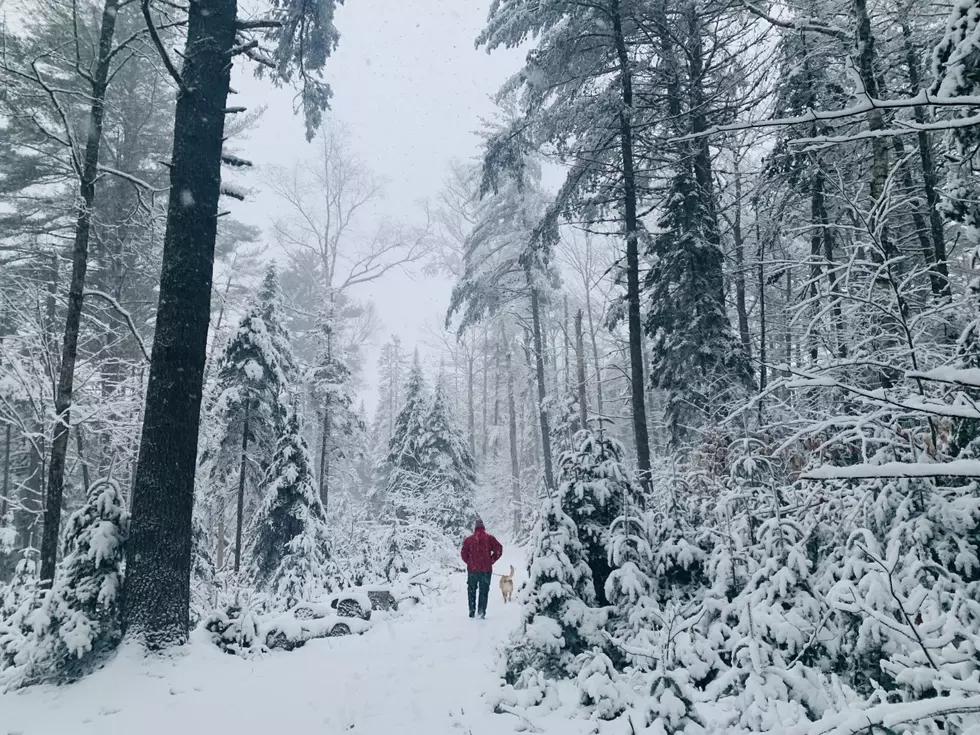 Do True Mainers Love or Hate Snow? Let&#8217;s See What They Say.