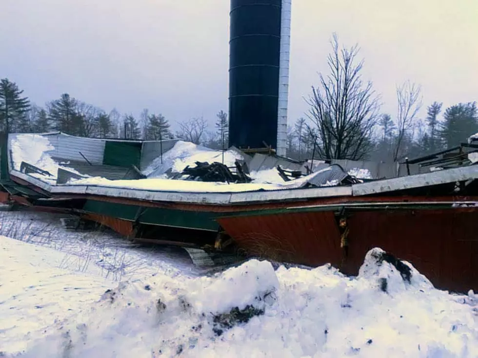 Four Cows Die When Heavy Snow Collapses Cattle Barn in Union, Maine