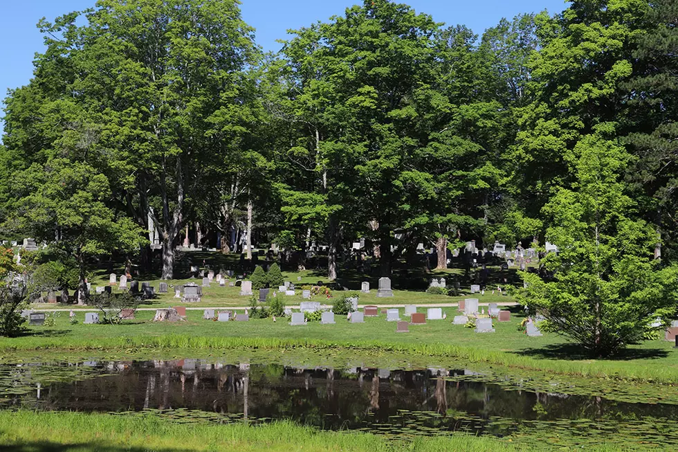 Why Would Someone Fling Tomatoes &#038; Onions Into A Cemetery In Bath?