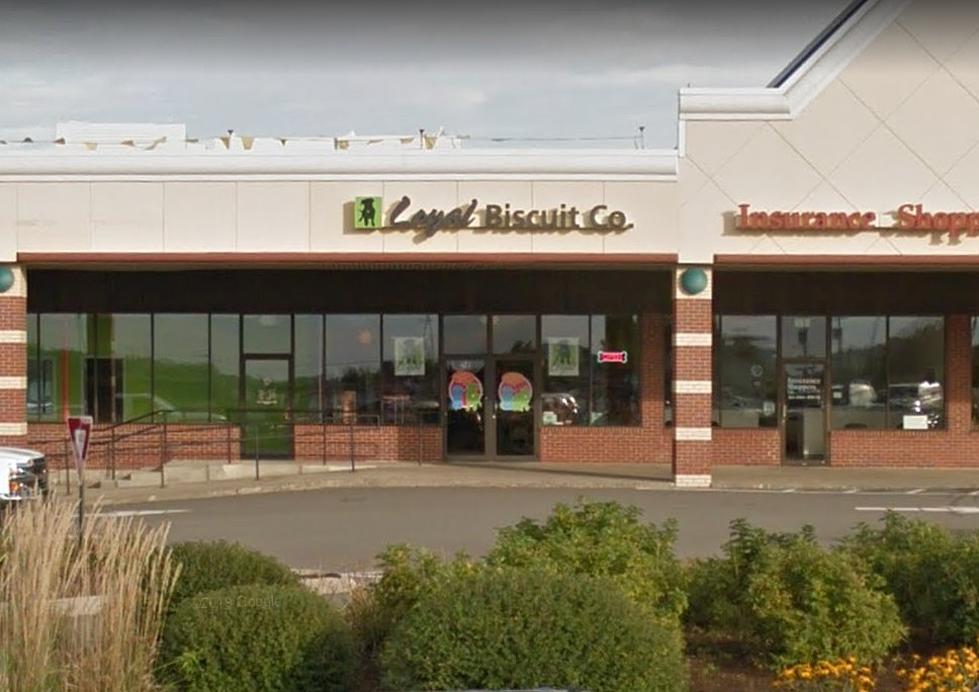 Loyal Biscuit Co. in Brewer is Merging with A National Pet Store Chain