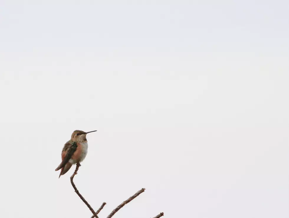 Photo by John Duncan on Unsplash