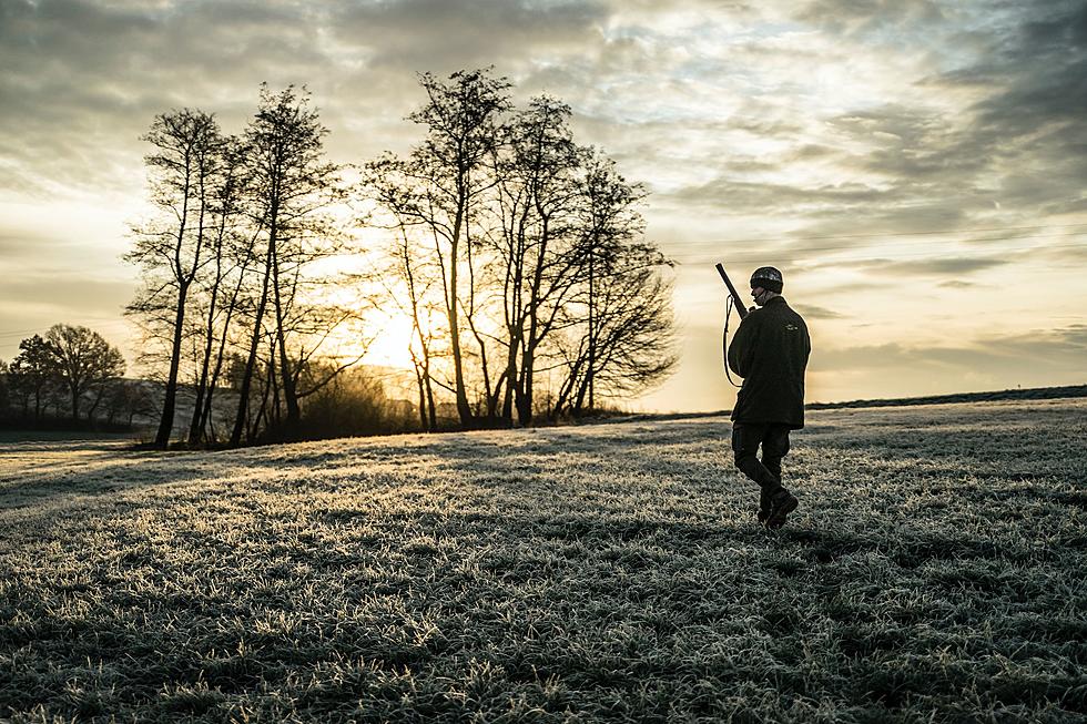 Can Mainers Take Down A Deer in the Off Season if it&#8217;s On Their Land?