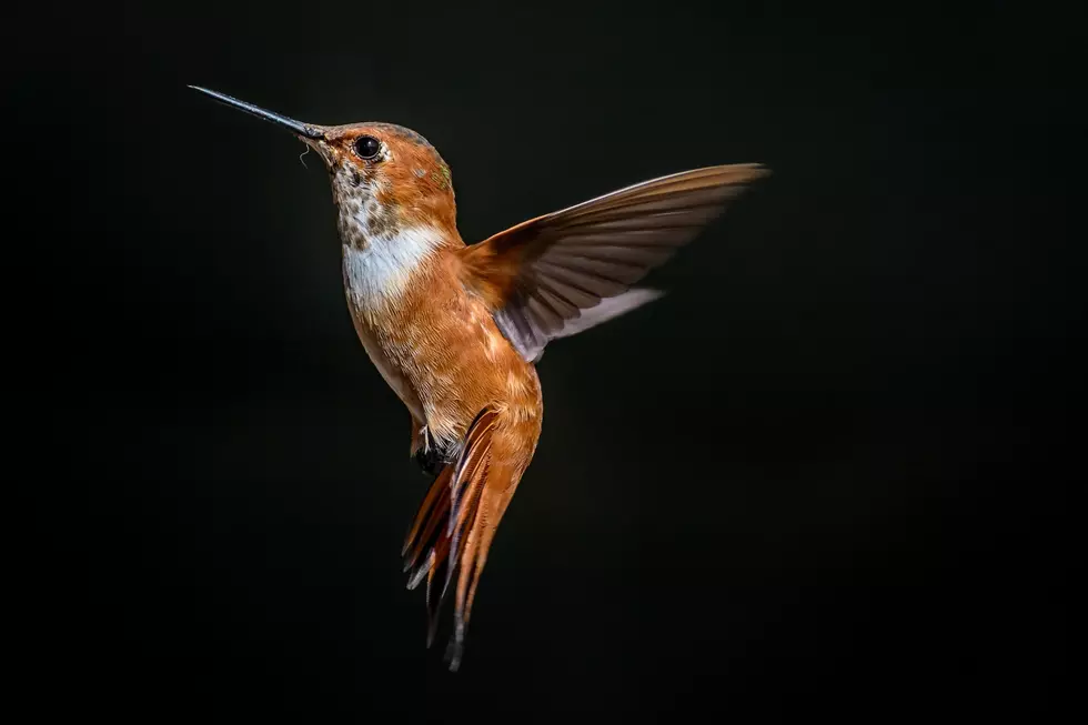 Photo by Steve Harvey on Unsplash