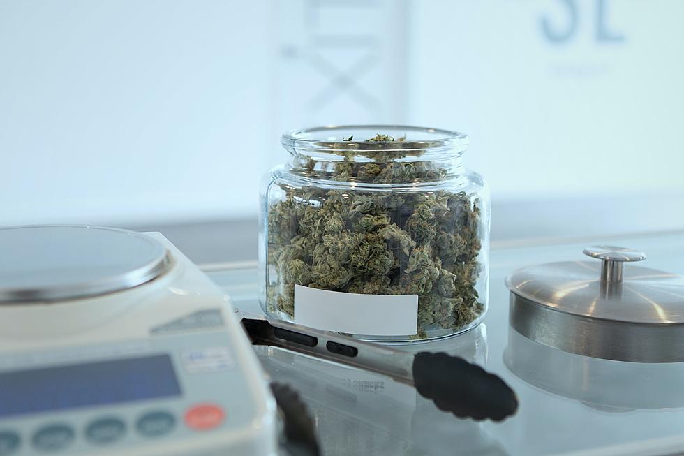 Is Maine Going to Abolish Sales Tax on Medical Cannabis?
