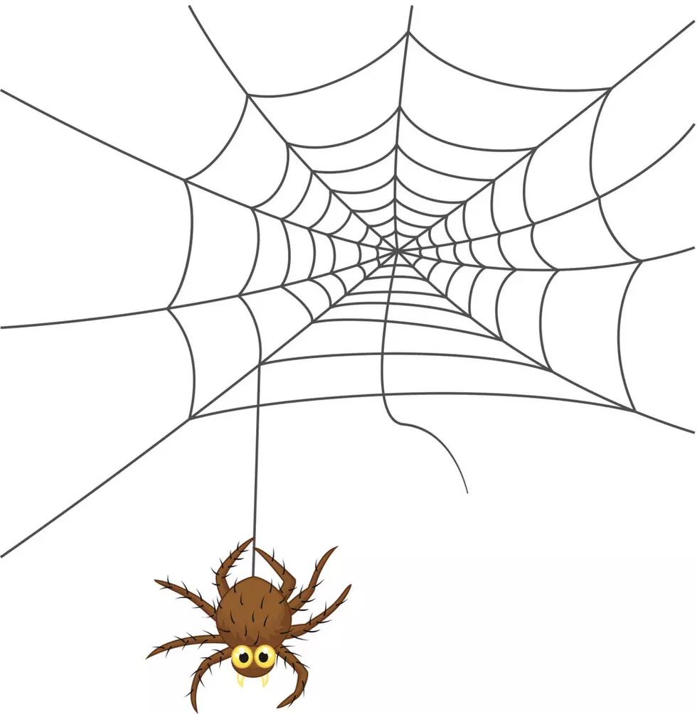 Spider web cartoon
