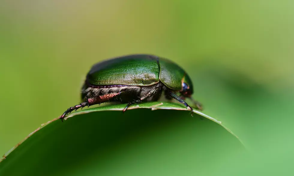 Photo by Yuichi Kageyama on Unsplash