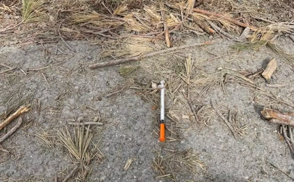 What Are Your Options If Someone Dumps Used Needles In Your Yard?