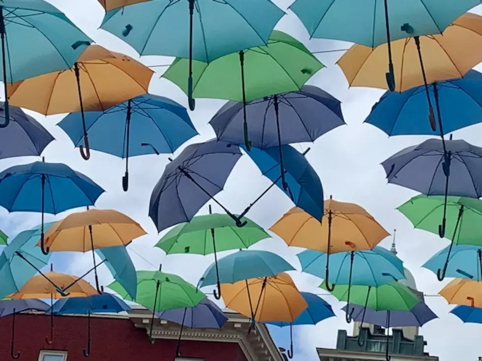 The Umbrellas Are Coming Back To Bangor