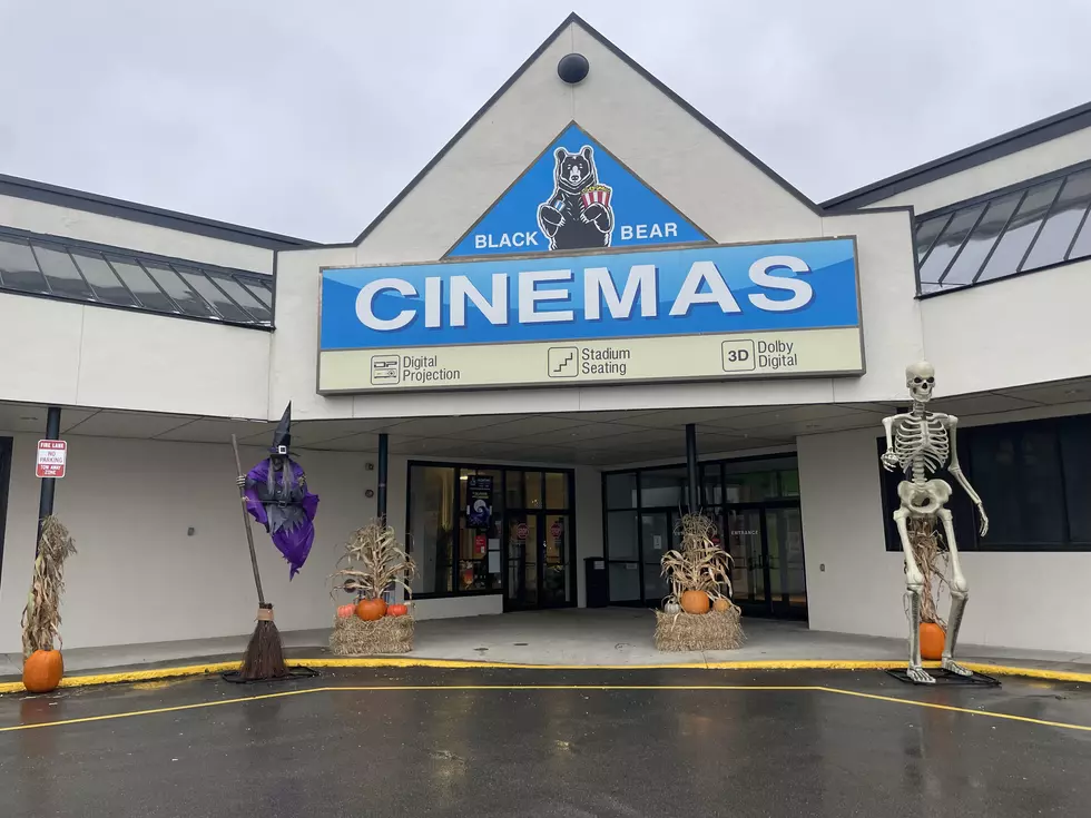 Black Bear Cinemas, Zach Hussey