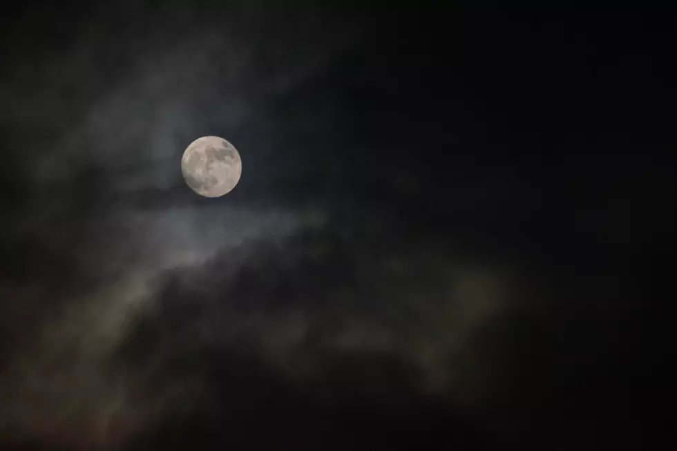 Photo by Avery Cocozziello on Unsplash