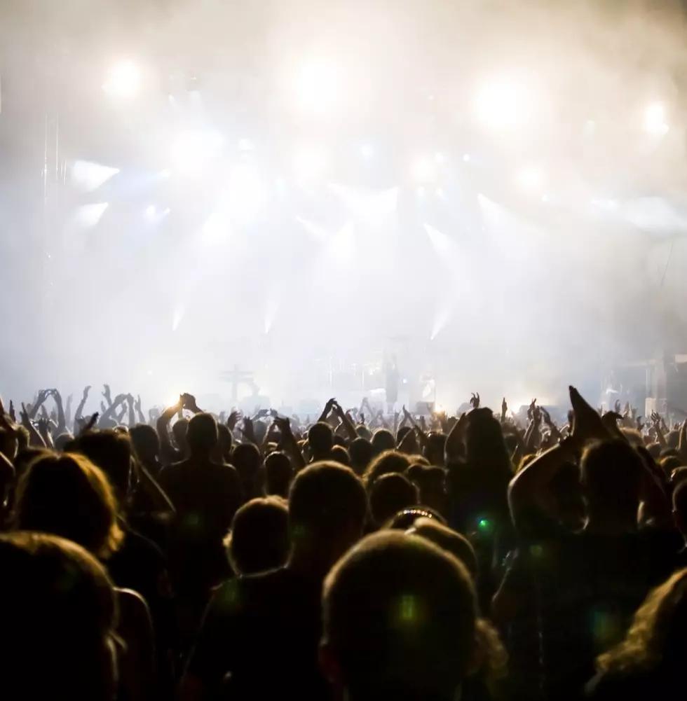 Crowd at concert