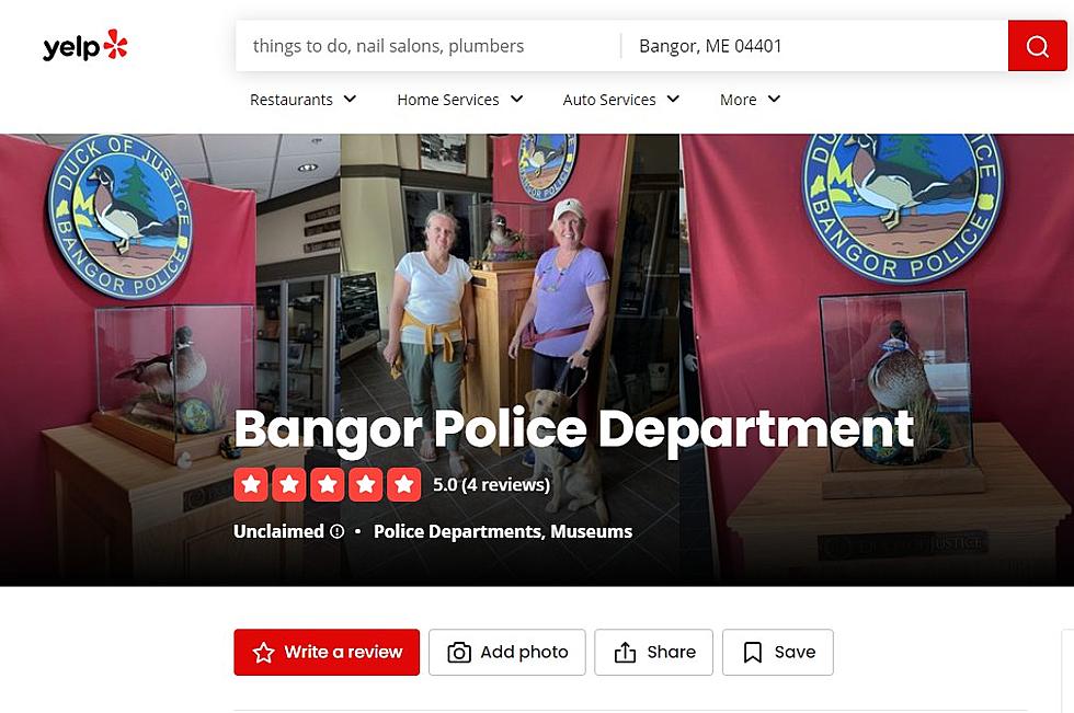 Bangor, Maine Police Dept. Actually Has A 5-Star Yelp Rating