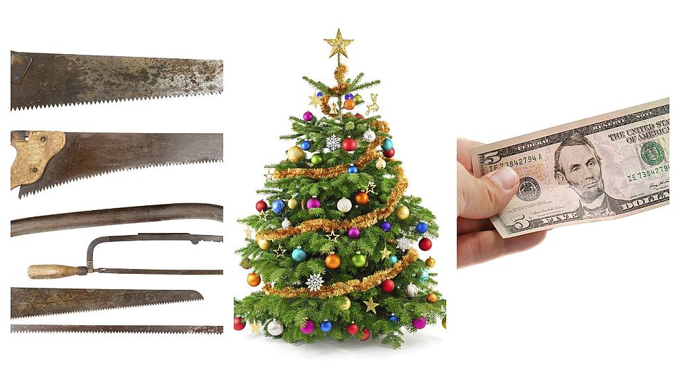 Maine Actually Wants $5 For You To Cut Down Your Own Christmas Tree