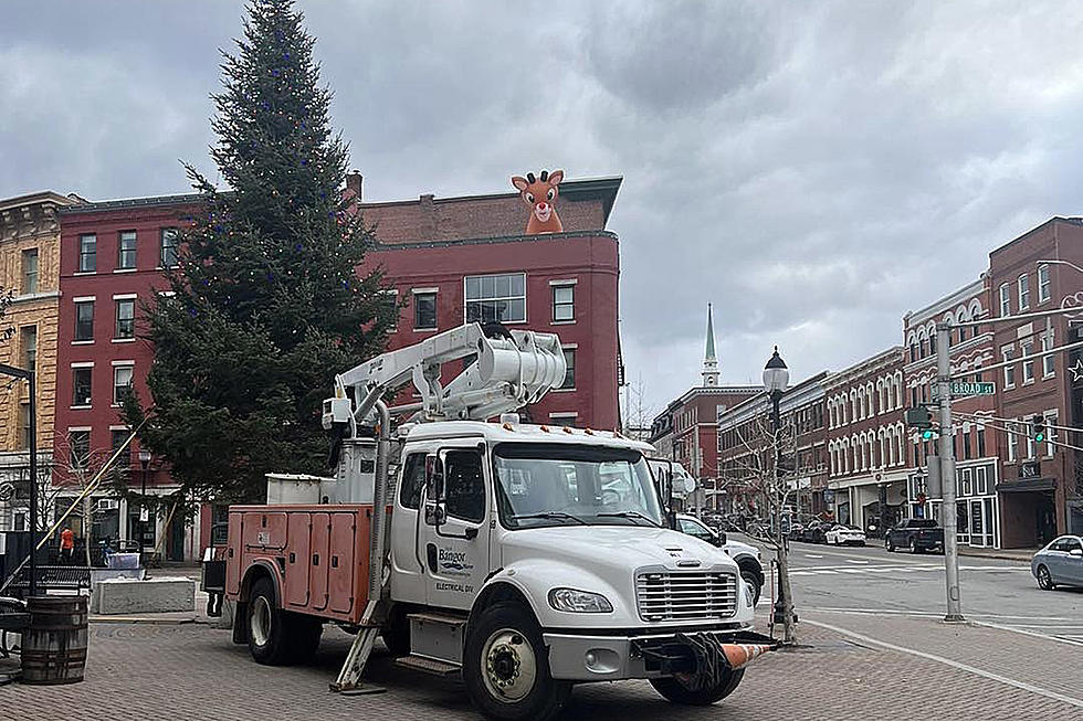Bangor’s Holiday Tree’s Been Hoisted Into Position; Lighting This Weekend