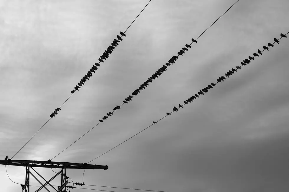 Photo by Alex Jones on Unsplash