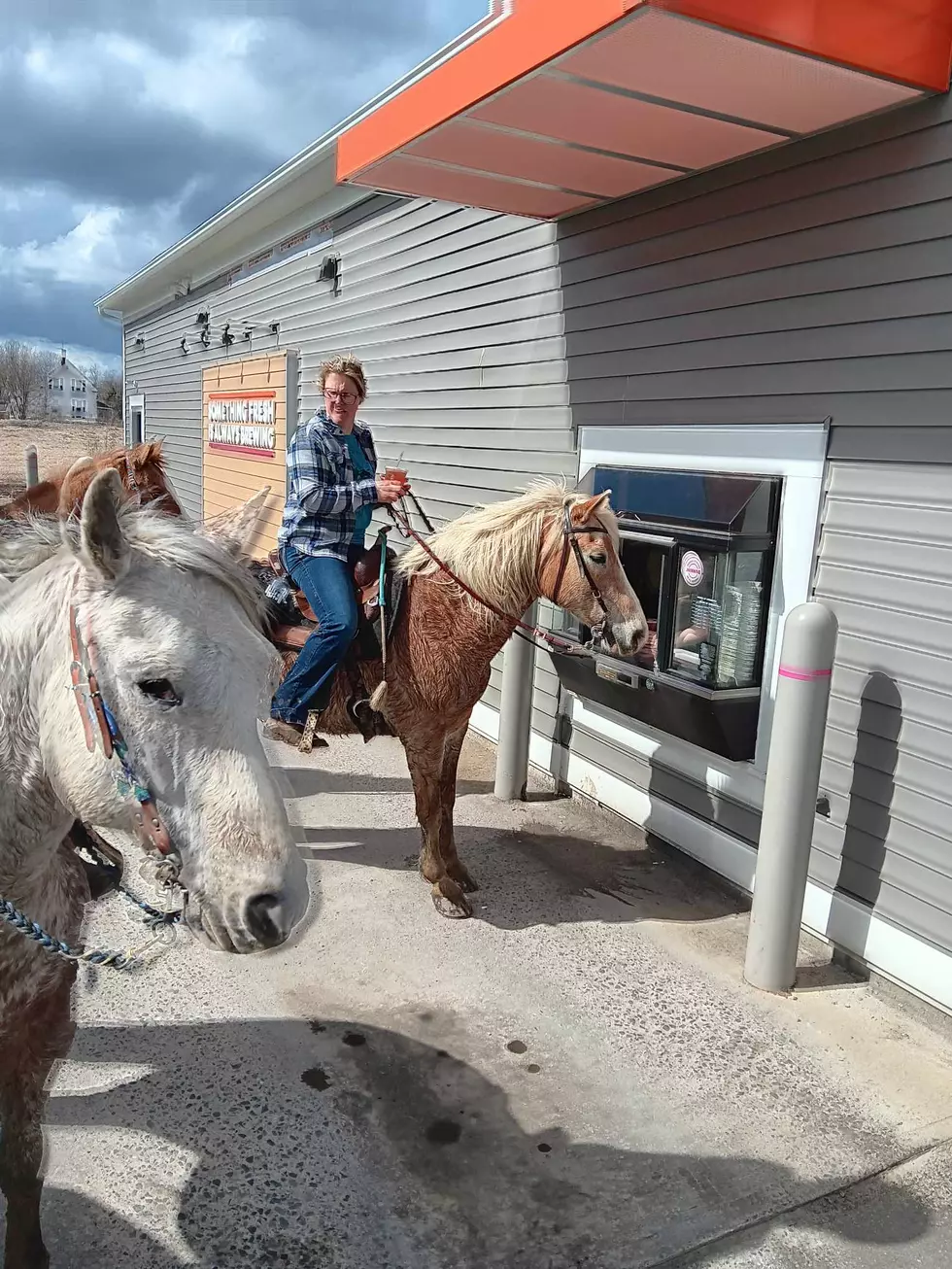Horses at Drive Thru 5, Kathleen King