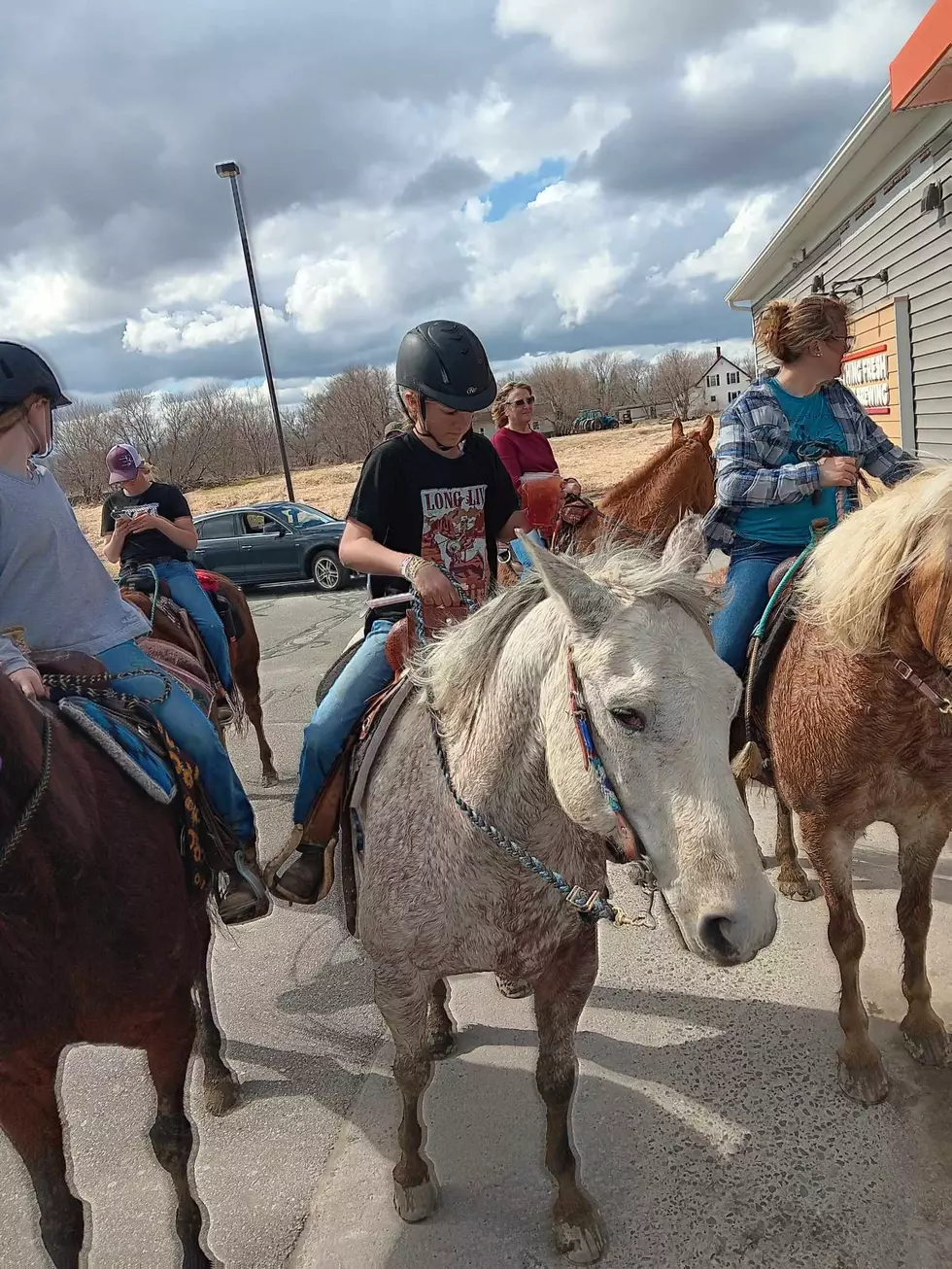 Horses at Drive Thru 6, Kathleen King