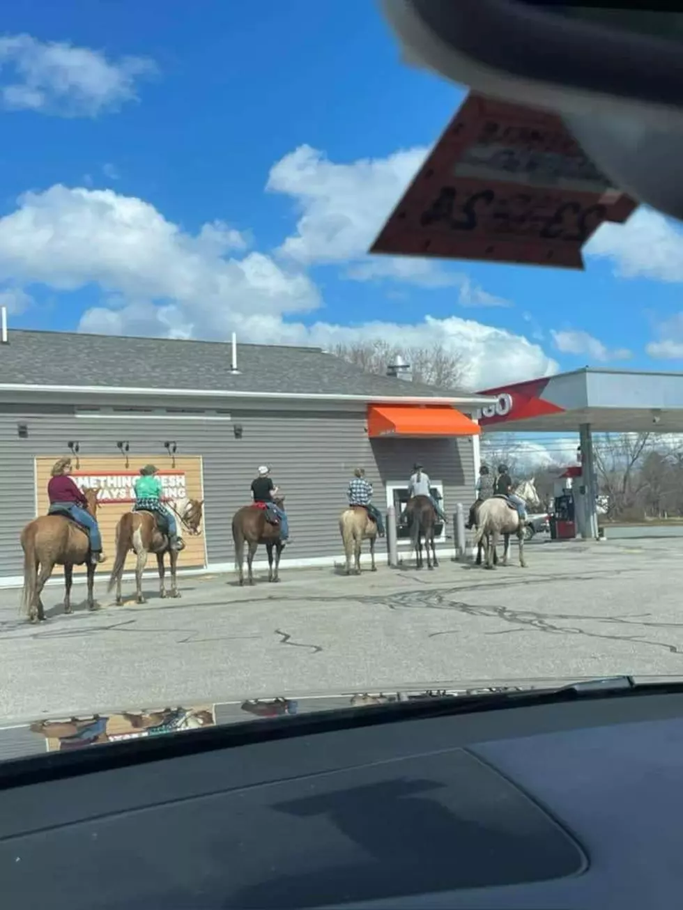 Horses at Drive Thru 1, Kathleen King