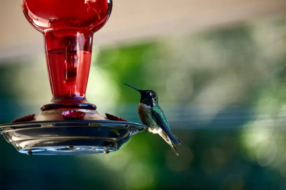Photo by Kayla Warner on Unsplash