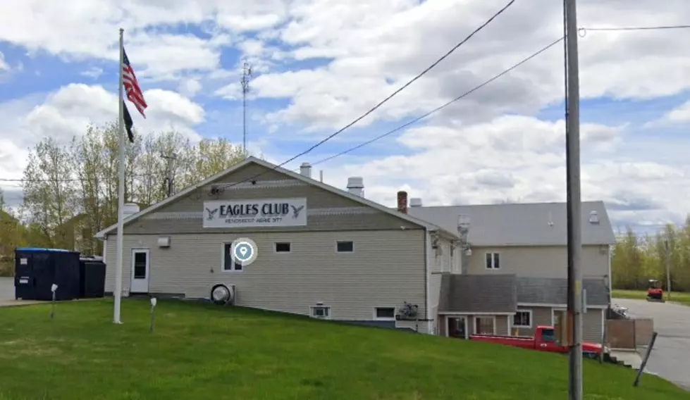 Brewer Eagles Club 3, Google