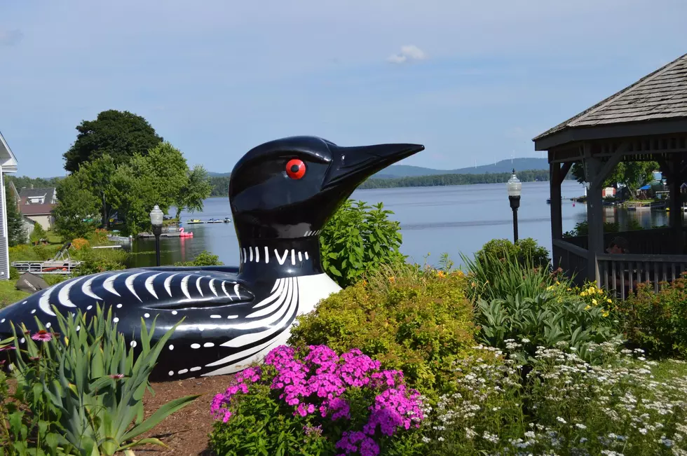 Four Days Of Fun Planned For Lincoln’s ‘Loon Festival’ This July