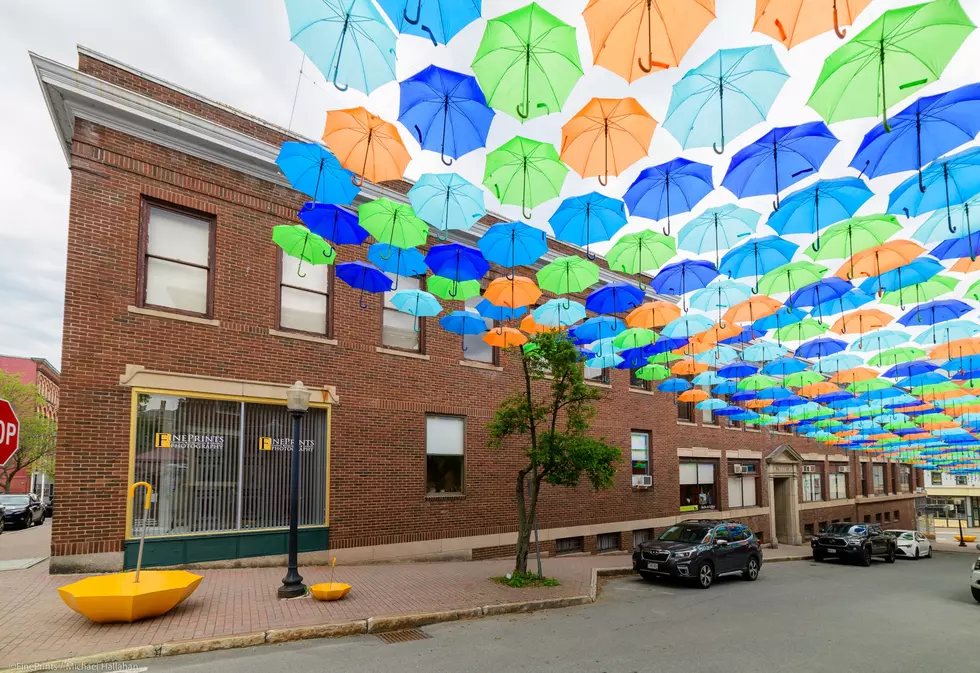 The Umbrellas Are Up In Bangor, With Some Cute New Extras