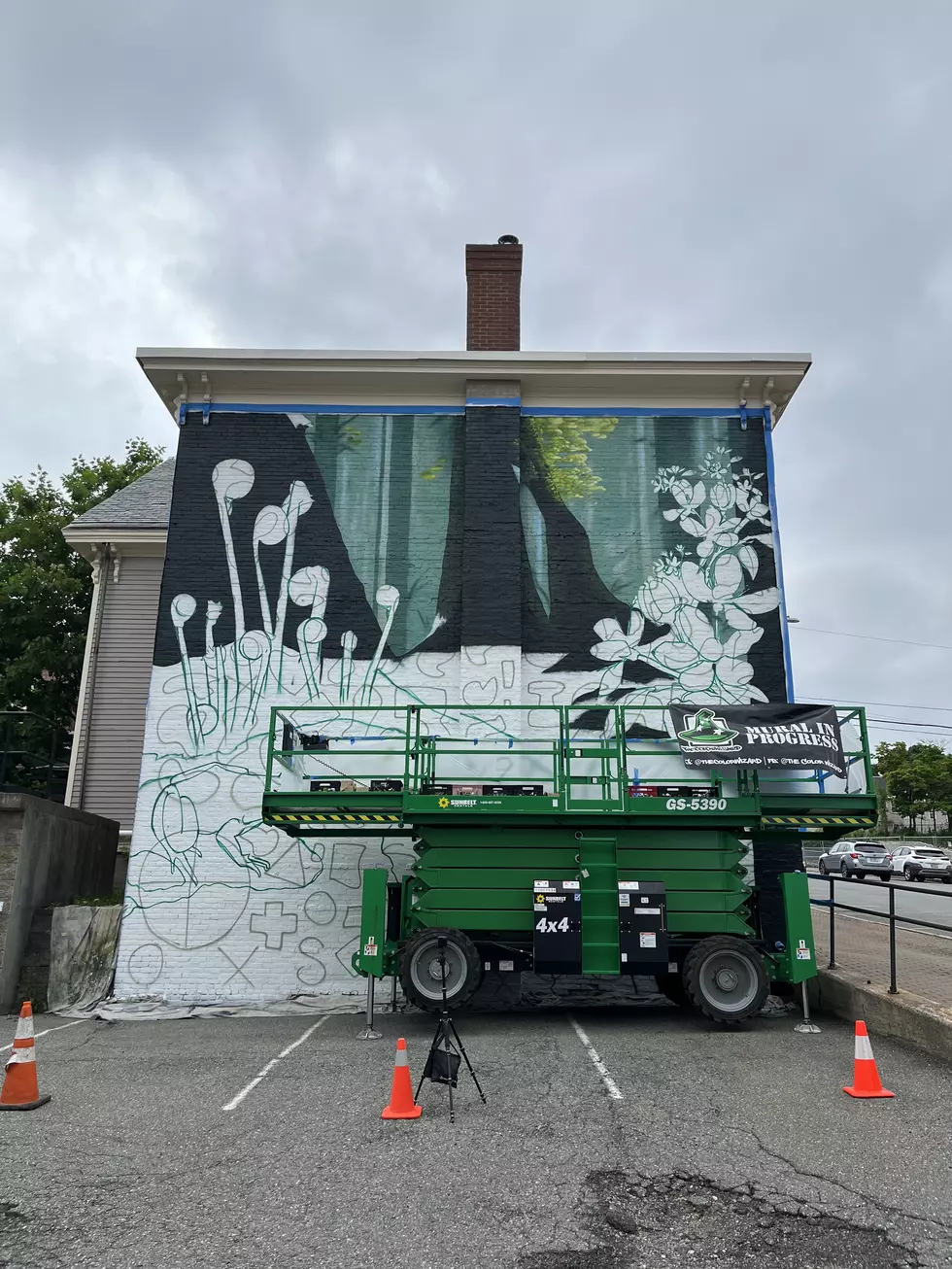 The Man Behind Bangor's Newest Mural; Maine's 'Color Wizard'