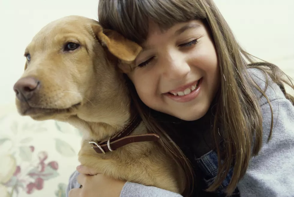 Close-up of a girl holding her dog