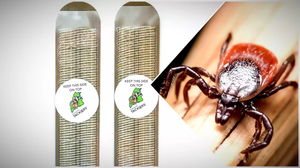 Tired of Ticks On You? Maine Based Product has the Solution