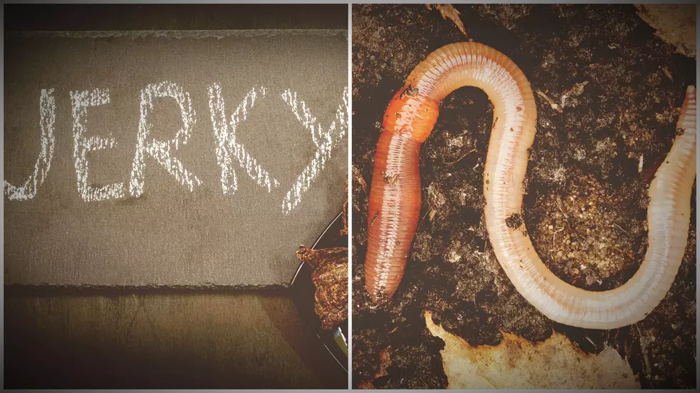 There’s A New England Company that Actually Makes Earthworm Jerky