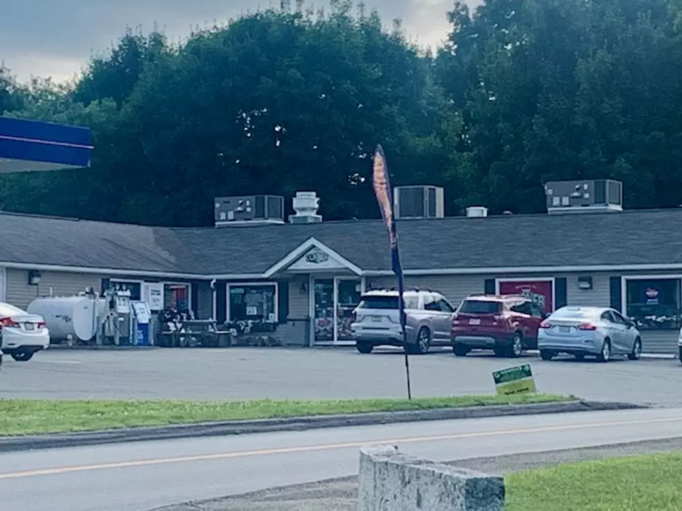 Levant Corner Store 3, Cori Skall
