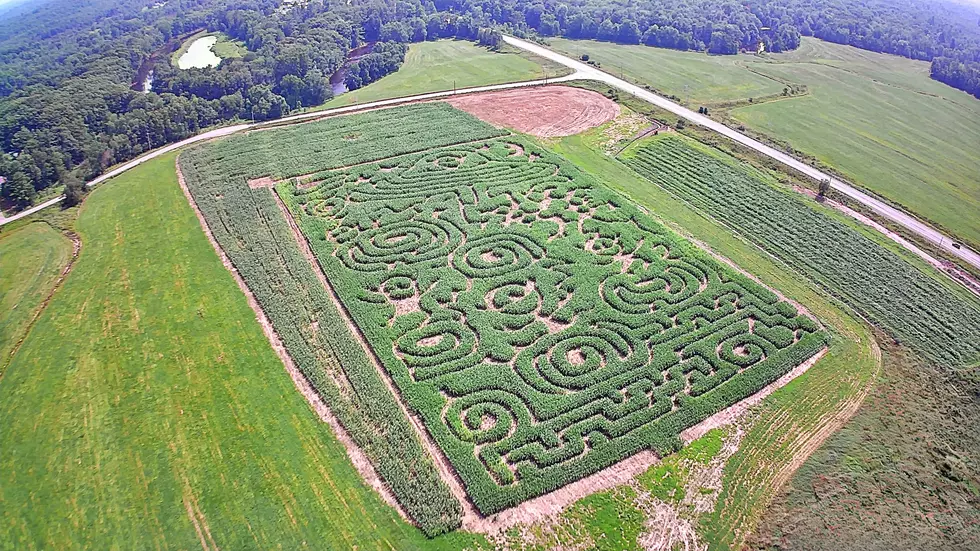 Maze 3, Davis Family Farms Facebook