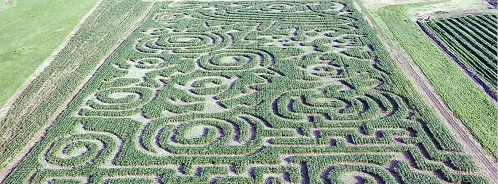 Maze 4, Davis Family Farms Facebook