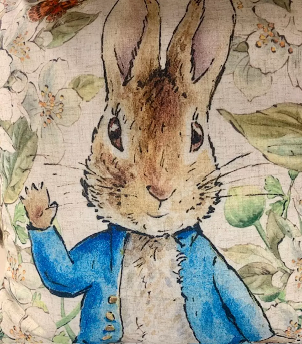 Peter Rabbit Pillow2, Cori Skall