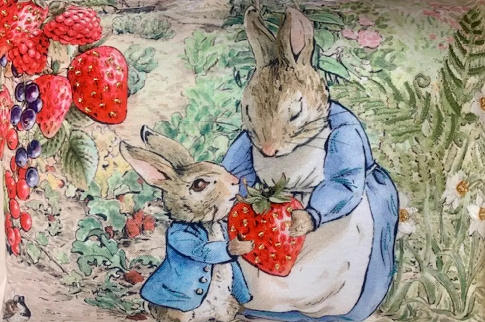 Peter Rabbit Pillow4, Cori Skall