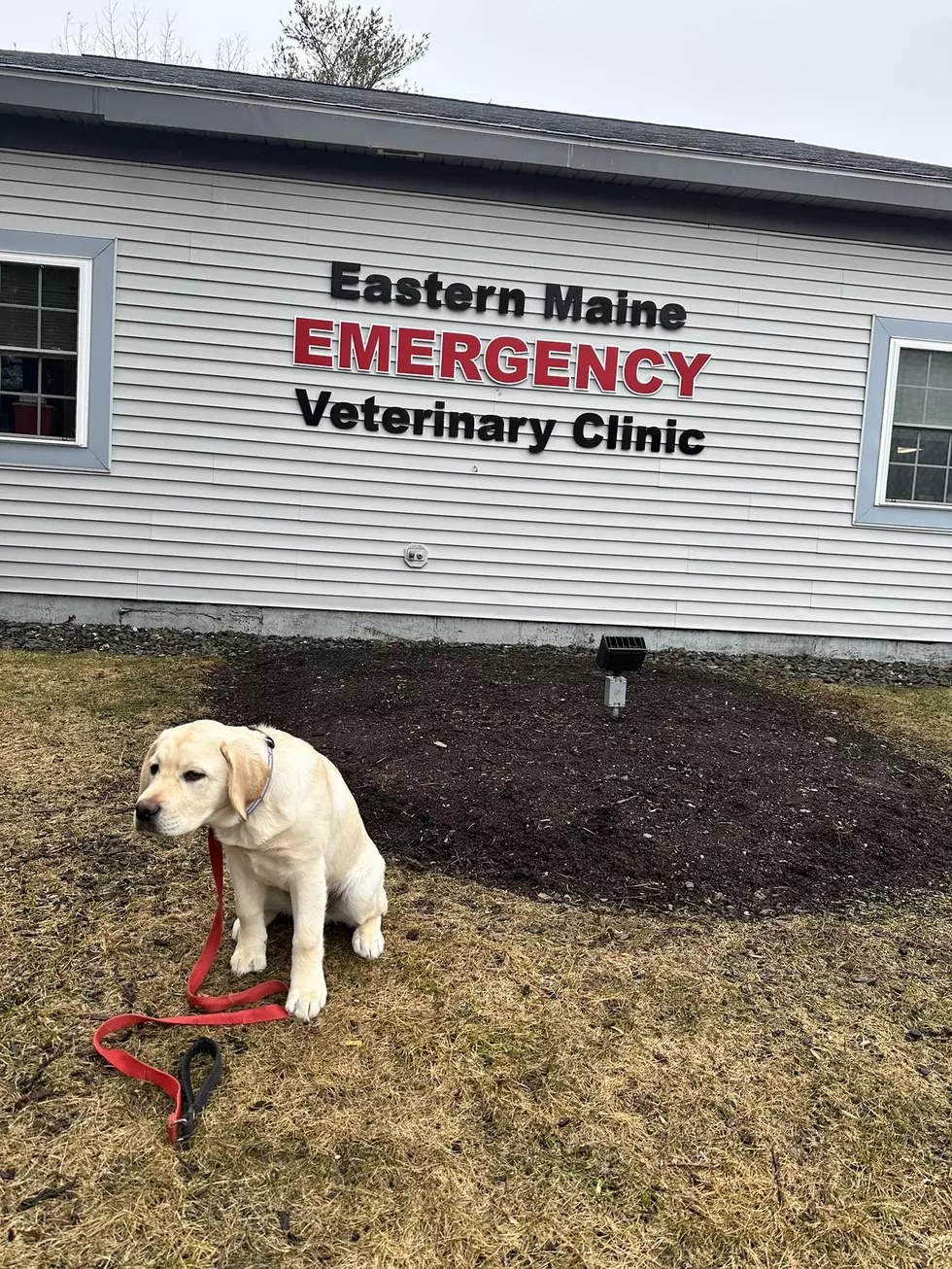 Open Mondays, Eastern Maine Emergency Veterinary Clinic via Facebook