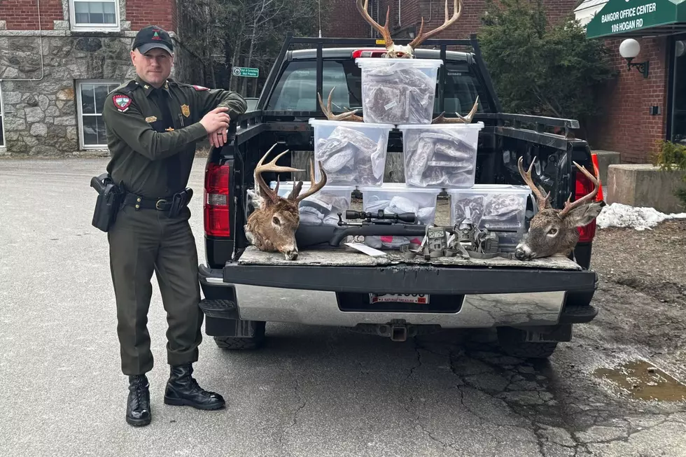 Poaching Bust, Maine Department of Inland Fisheries & Wildlife via Facebook