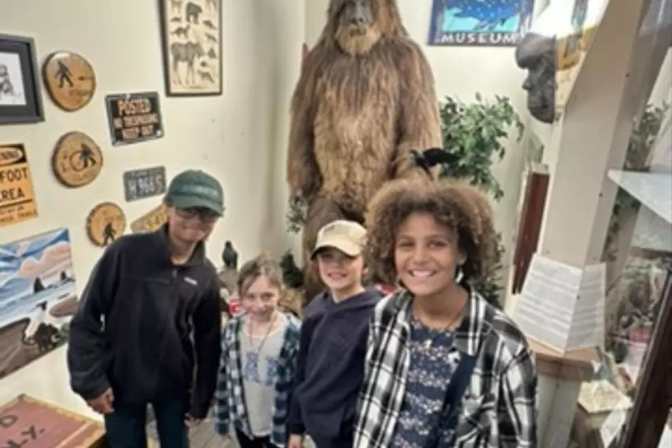 Learning About Bigfoot, Lee’Ann Delcourt