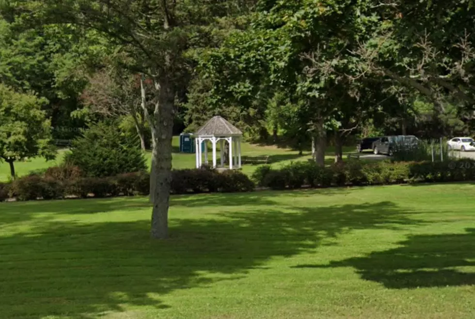 Cascade Park, Google