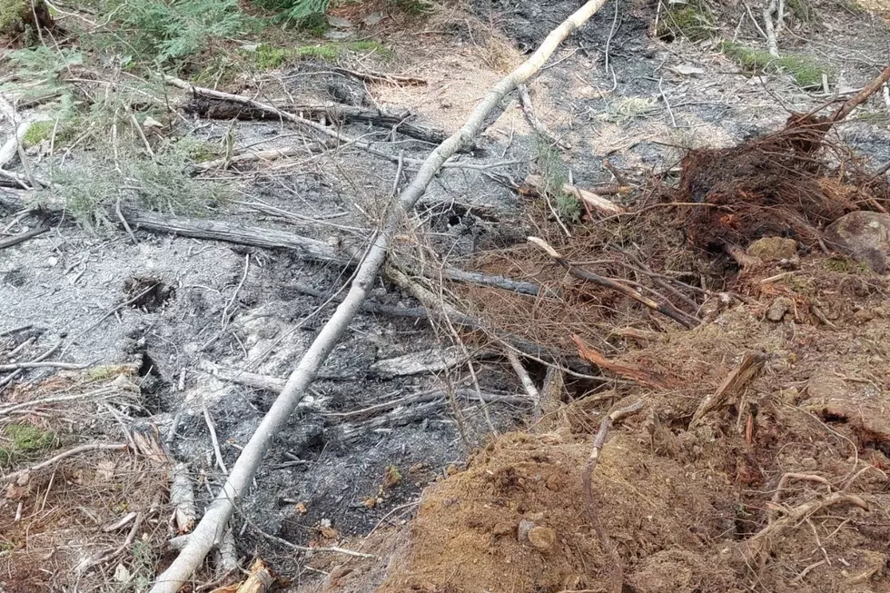 Summer Fires, Maine Forest Rangers via Facebook