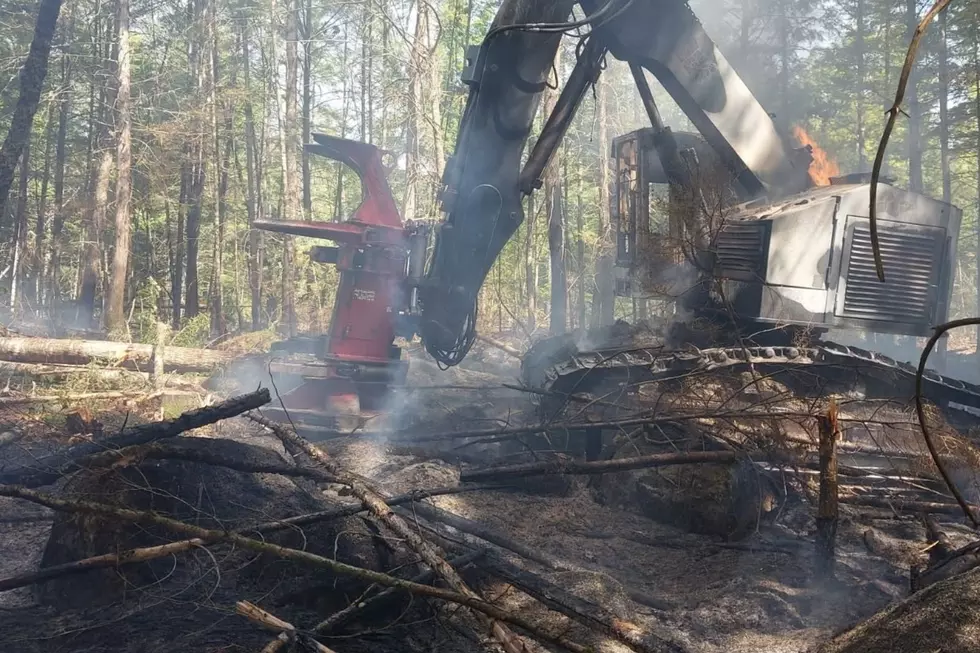 Summer Fires, Maine Forest Rangers via Facebook