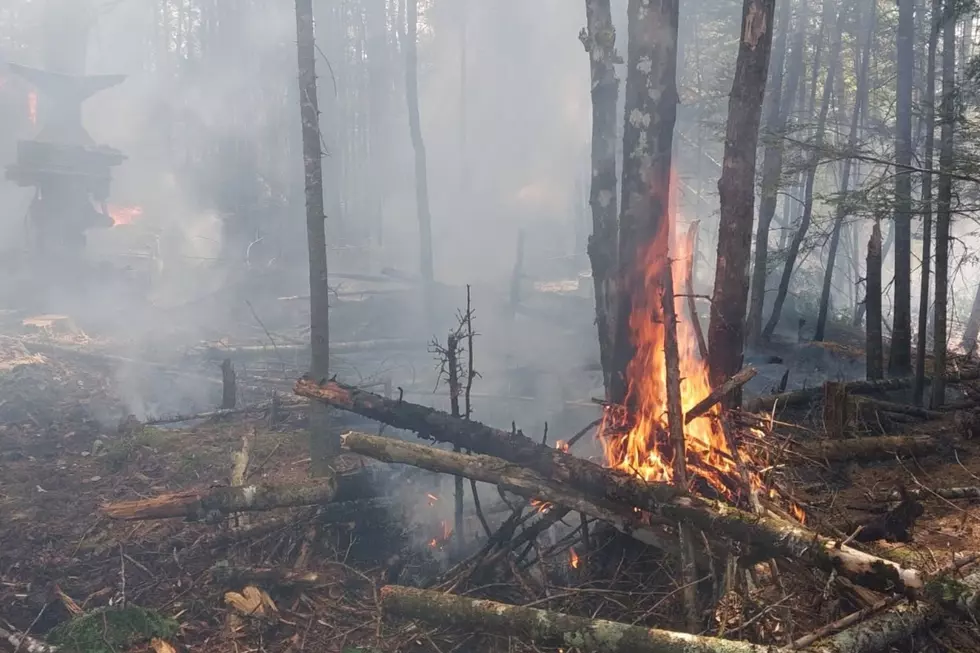 Summer Fires, Maine Forest Rangers via Facebook