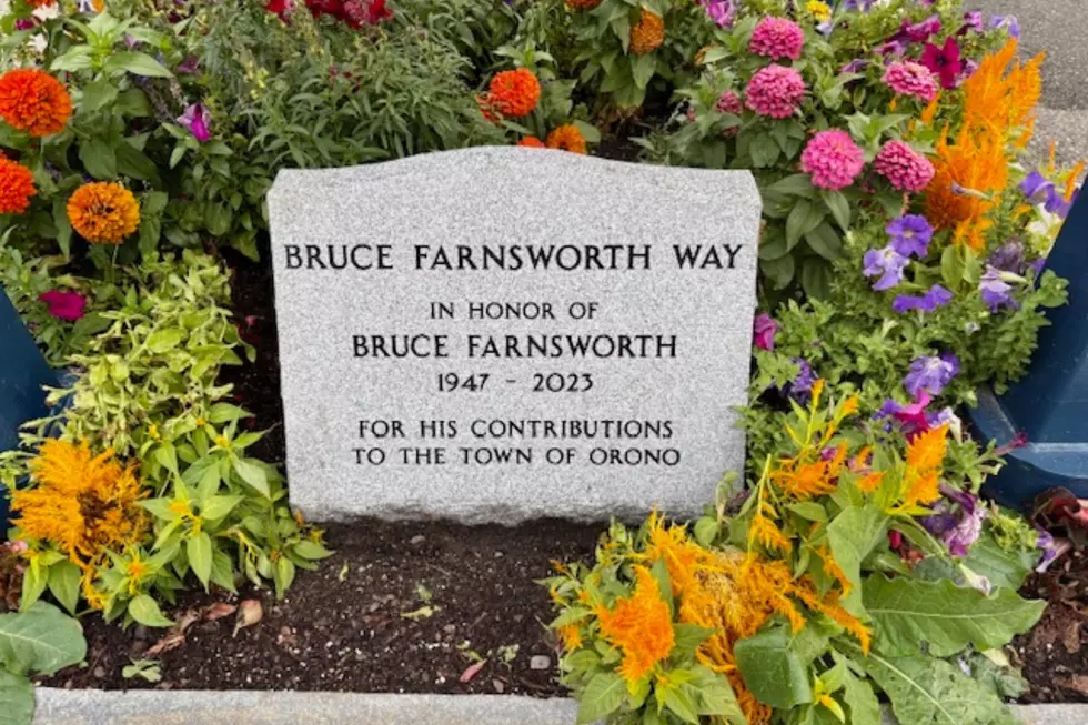 Bruce Farnsworth Way, Cori Skall