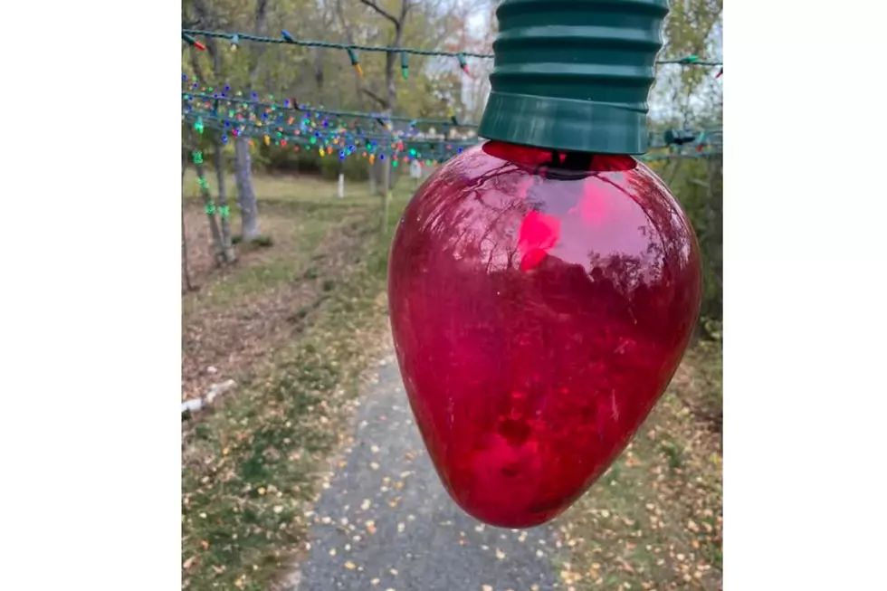 Stillwater Holiday Lights, Stillwater River Trail Little Free Library #42955 via Facebook