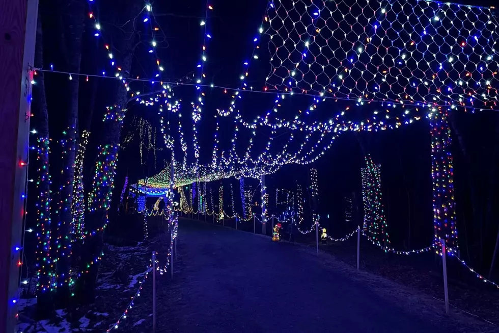 Stillwater Holiday Lights, Stillwater River Trail Little Free Library #42955 via Facebook