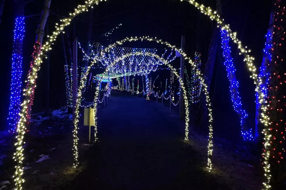 Stillwater Holiday Lights, Stillwater River Trail Little Free Library #42955 via Facebook