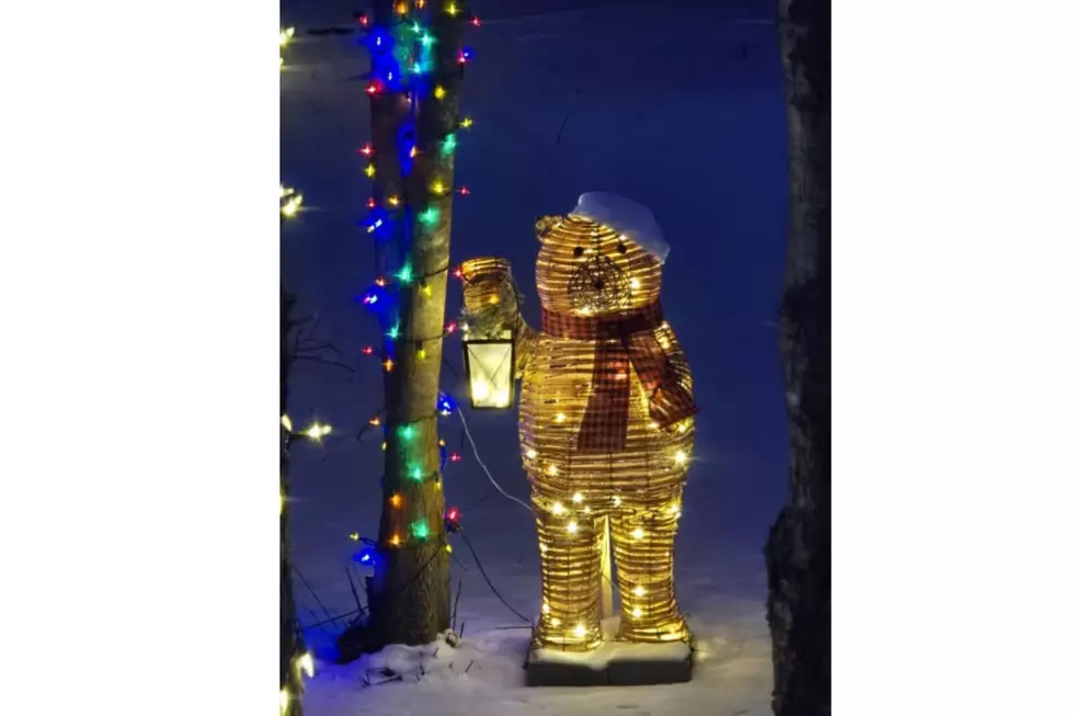 Stillwater Holiday Lights, Stillwater River Trail Little Free Library #42955 via Facebook