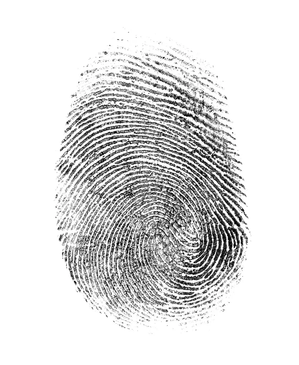 Parents In Penobscot County Can Get Free Child ID Kits From The Sheriff’s Department