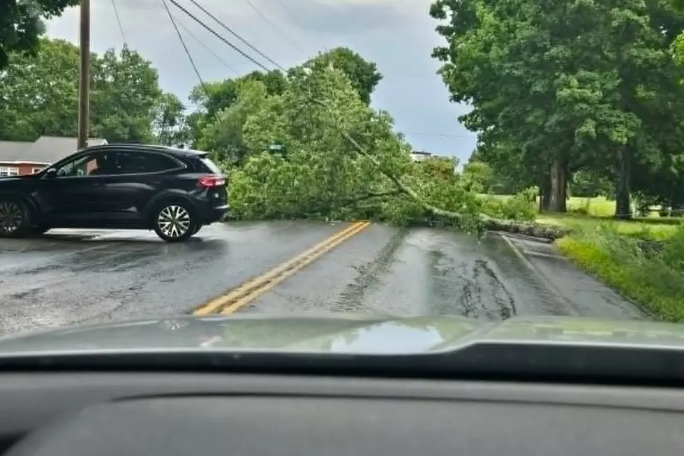 Union Street storm damage, Patty Leonard-Newey